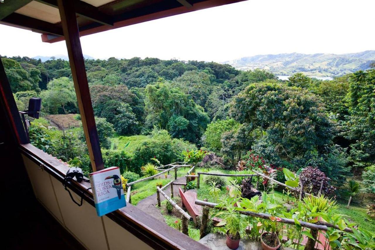 Toucan Lane Hotel And Restaurant Nuevo Arenal Ngoại thất bức ảnh