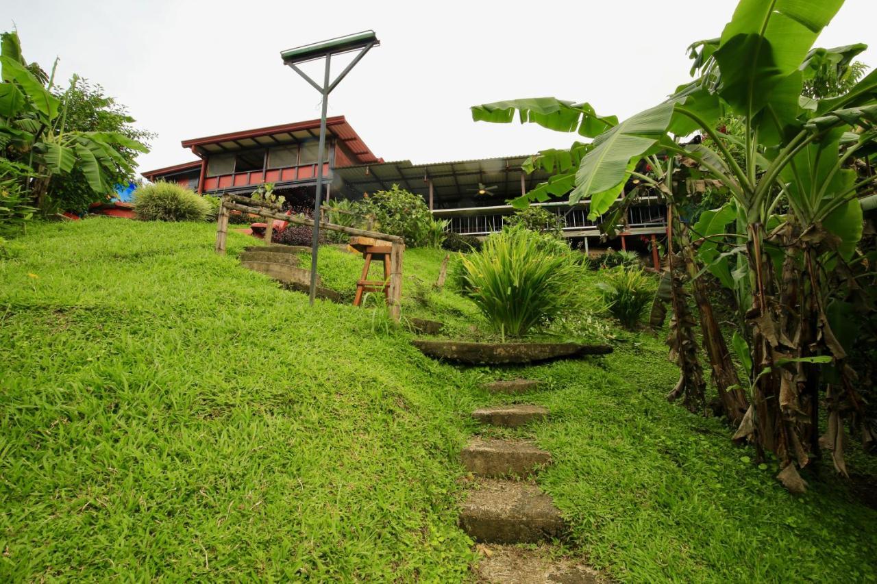 Toucan Lane Hotel And Restaurant Nuevo Arenal Ngoại thất bức ảnh